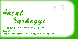 antal varhegyi business card